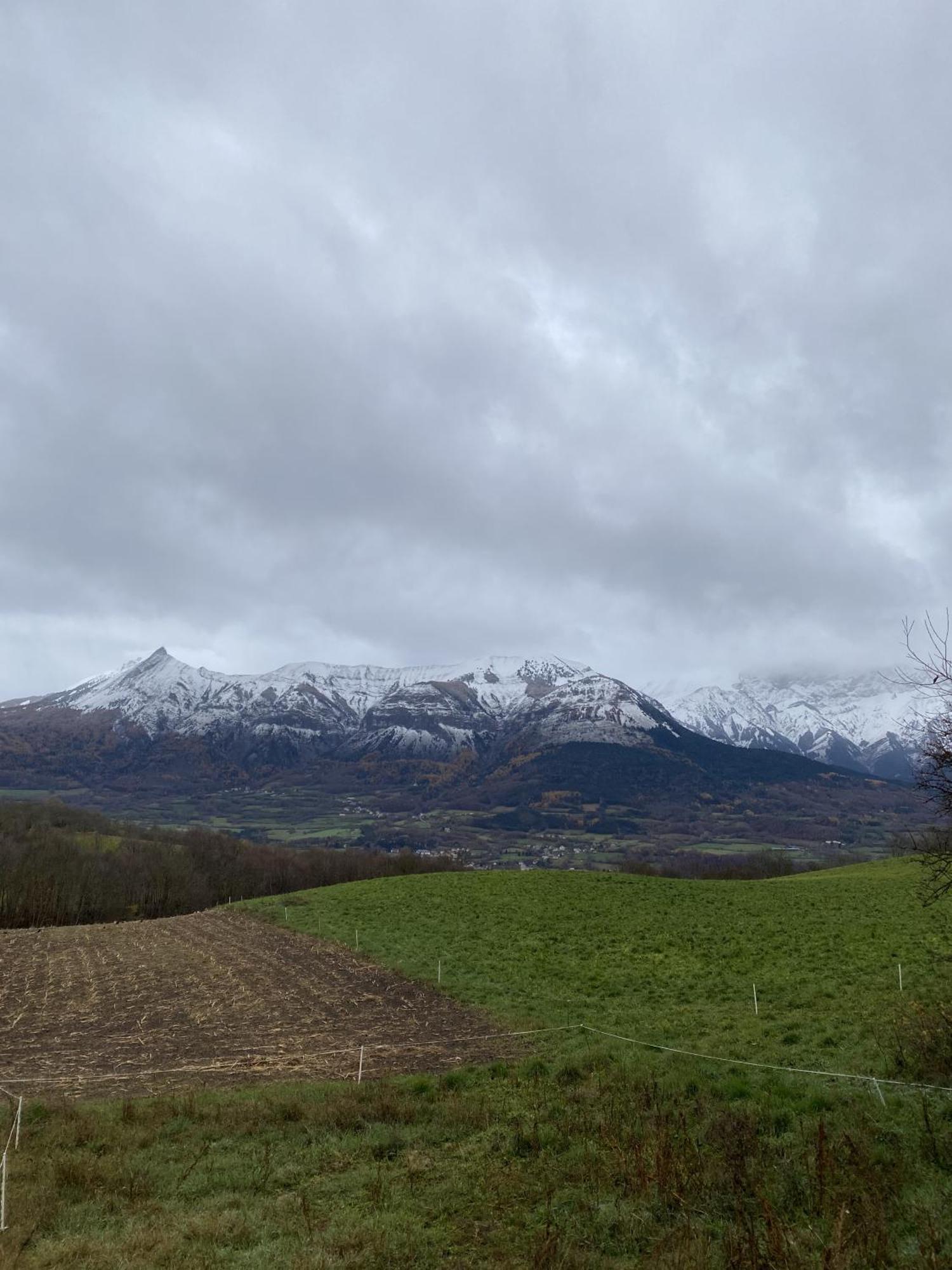 Ferienwohnung La Rose Des Vents Saint-Bonnet-en-Champsaur Exterior foto